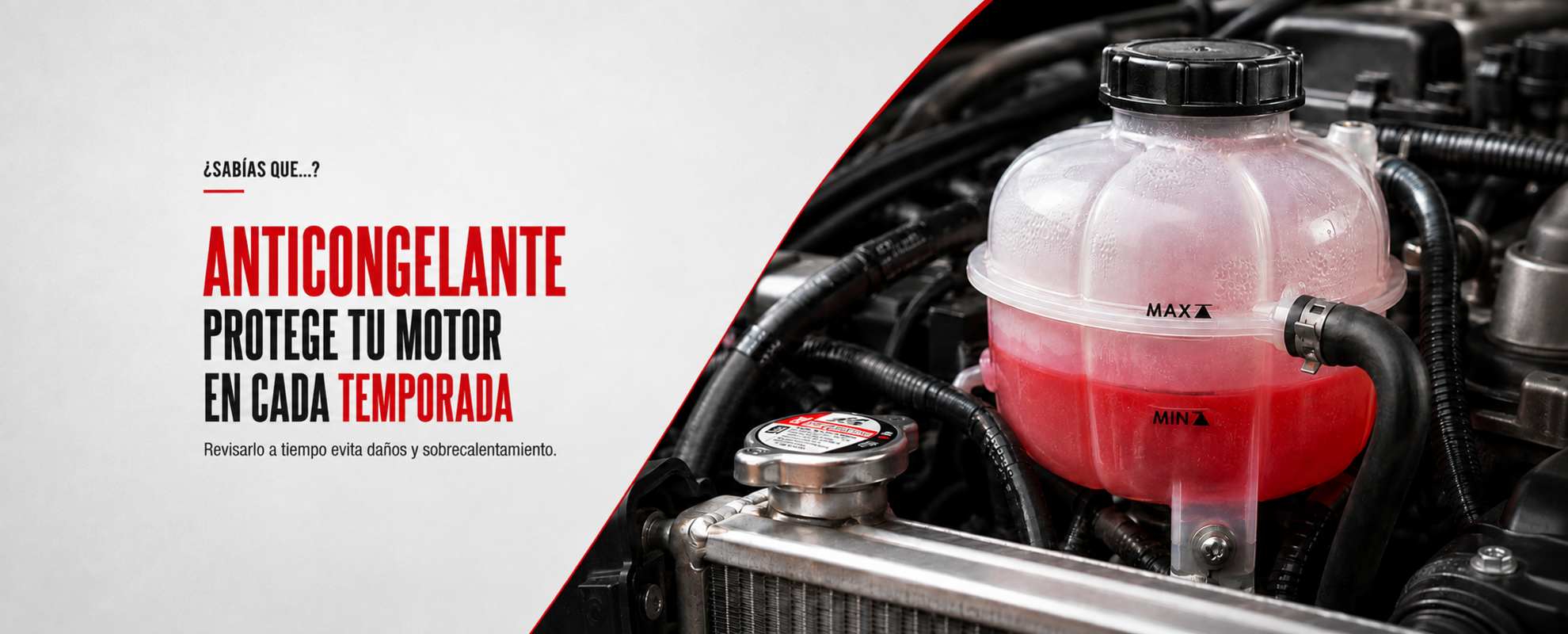 Anticongelante: cómo protege tu motor y por qué debes revisarlo esta temporada